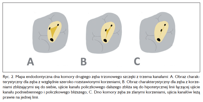 komentarz6/2020_2