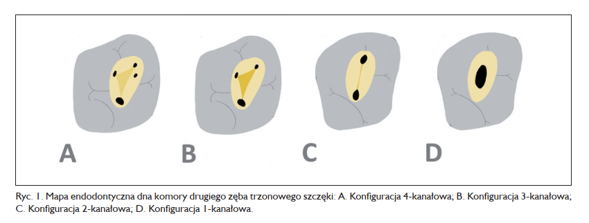 komentarz6/2020_1