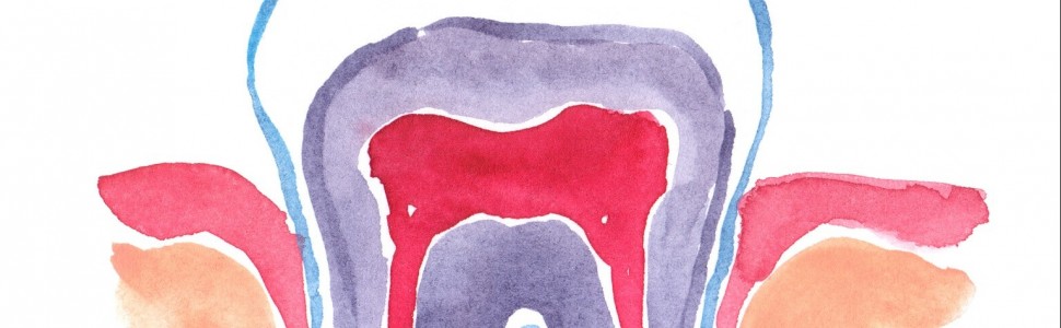 Ochrona żywej miazgi zębów oszlifowanych pod korony protetyczne