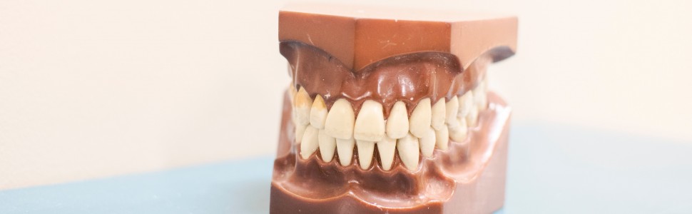 Wpływ ruchomych uzupełnień protetycznych na przebieg procesu żucia. Przegląd piśmiennictwa