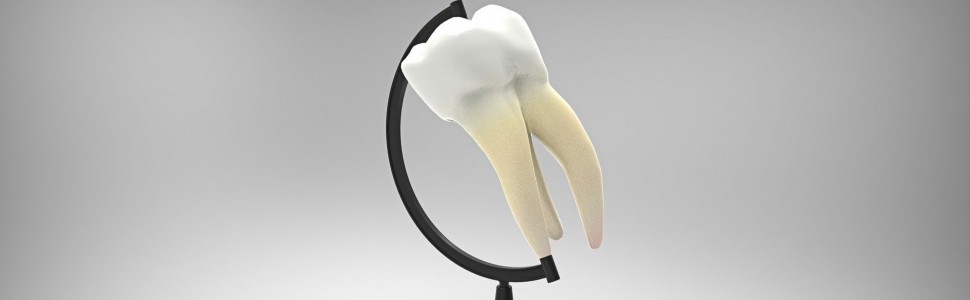 Wpływ leczenia ortodontycznego aparatami zdejmowanymi na mikrobiom jamy ustnej oraz wybrane parametry śliny - przegląd piśmiennictwa