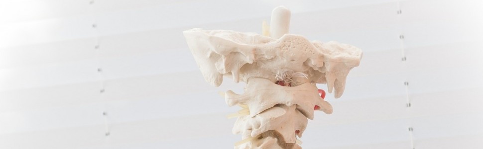 Wady postawy a staw skroniowo-żuchwowy. Przegląd piśmiennictwa