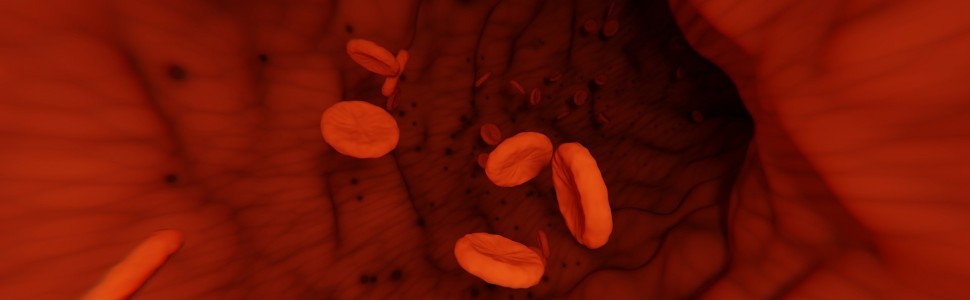 Przegląd preparatów fibrynowych bogatych w płytki krwi