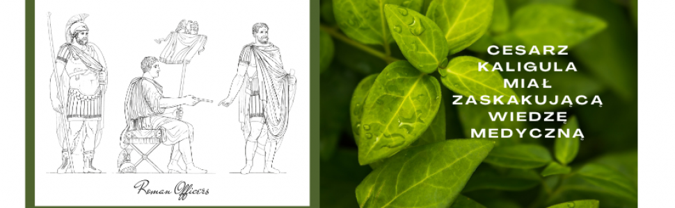 doniesienia z historii