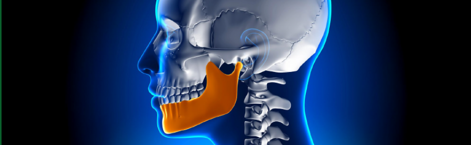 Główne funkcje układu stomatognatycznego – Jeffrey P. Okeson 
