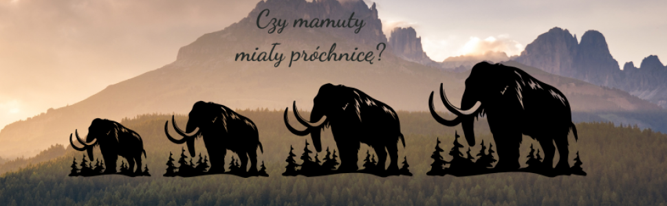 Czy mamuty miały próchnicę? Niezwykłe odkrycie naukowe