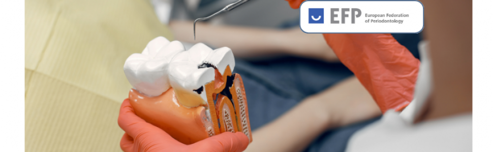 Nowe wytyczne EFP podkreślają znaczenie estetyki i.......