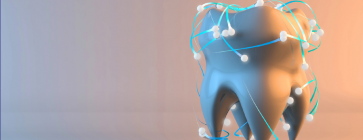 SPECJALISTA RADZI. Terminologia w radiologii stomatologicznej - dlaczego precyzja ma znaczenie