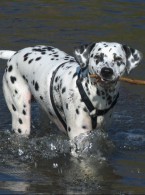 Druk 3D innowacją w protetyce