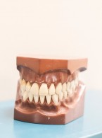 Ewolucja teorii okluzji w rehabilitacji protetycznej 