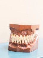 Wpływ ruchomych uzupełnień protetycznych na przebieg procesu żucia. Przegląd piśmiennictwa