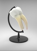 Wpływ leczenia ortodontycznego aparatami zdejmowanymi na mikrobiom jamy ustnej oraz wybrane parametry śliny - przegląd piśmiennictwa