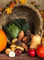 Wegetarianizm, weganizm i wegański witarianizm a stan jamy ustnej – najnowsze doniesienia