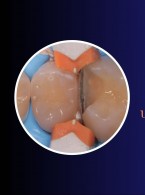 PRZECZYTAJ ARTYKUŁ W WOLNYM DOSTĘPIE