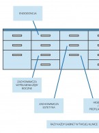 Część IV. Jak typowy system przechowywania mnoży problemy?