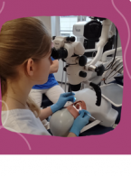 Po raz kolejny na podium