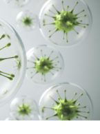 zdrowie przyzębia i całego organizmu