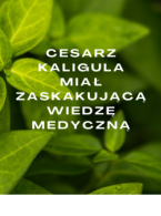 doniesienia z historii