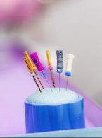 Leczenie endodontyczne zębów stałych niedojrzałych – rewitalizacja (rewaskularyzacja)