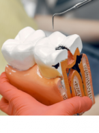 Nowe wytyczne EFP podkreślają znaczenie estetyki i.......