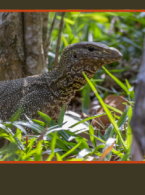 Dowiedź się więcej