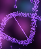 Gigantyczne DNA odkryte w ludzkiej jamie ustnej!