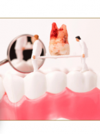 Artykuł w wolnym dostępnie