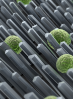 Czujnik biofilmu umożliwiający wczesne wykrywanie chorób dziąseł