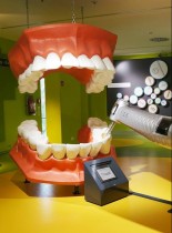 Endodoncja w powiększeniu. Powiększenie w przybliżeniu